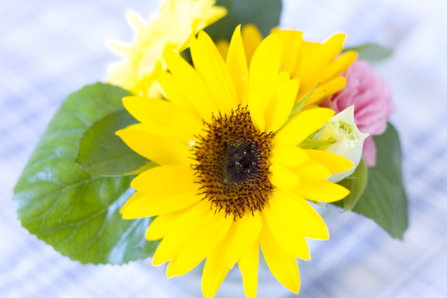 8月の結婚式は非常識ですか?やめておいた方がいい? HAPPYなBLOG 8月の結婚式は非常識ですか?やめておいた方がいい? HAPPYなBLOG